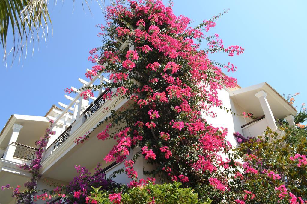 Delfino Blu Wellness Boutique Hotel Agios Stefanos Avliotes  Exterior photo